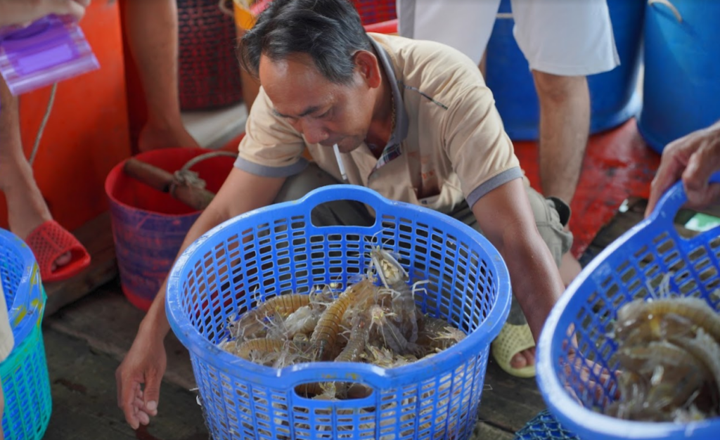 Hải Sản Hòn Sơn được bà con đánh bắt trong ngày
